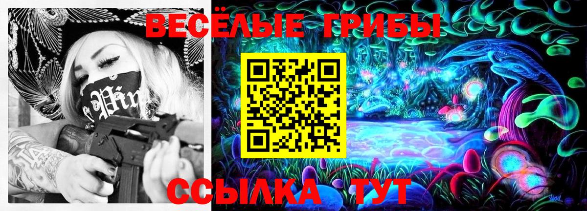 Галлюциногенные грибы MAGIC MUSHROOMS Киселёвск